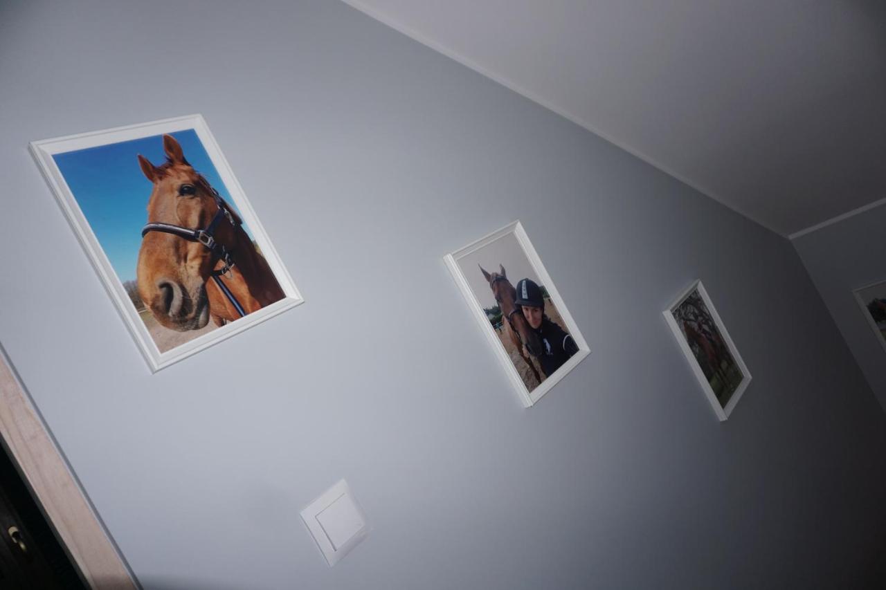 Osada Cztery Pory Roku -Dom Lato Villa Kopalino Luaran gambar