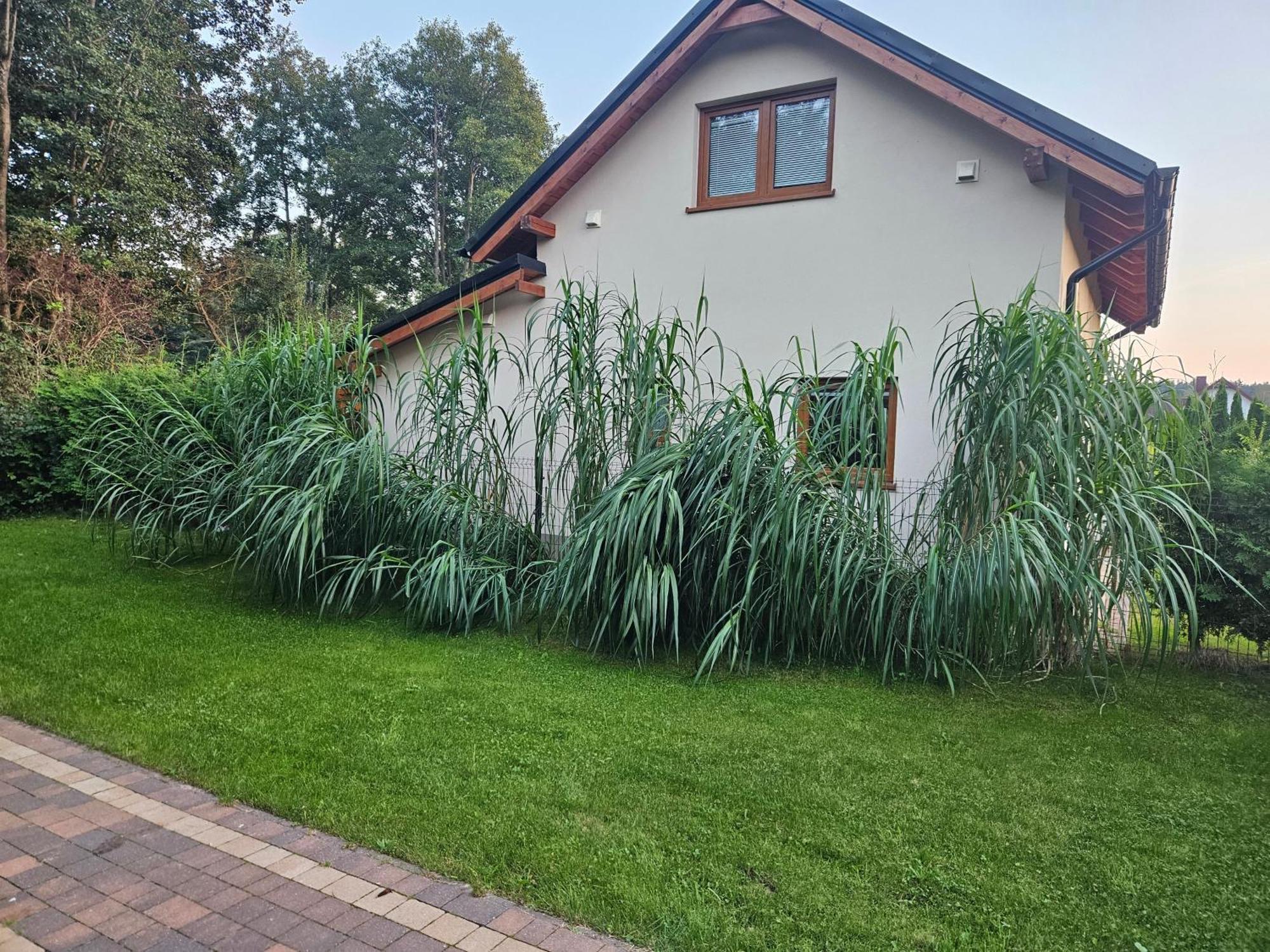 Osada Cztery Pory Roku -Dom Lato Villa Kopalino Luaran gambar